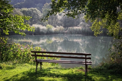 Picture of TREES AND WATER 3