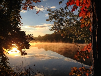 Picture of TREES AND WATER 4