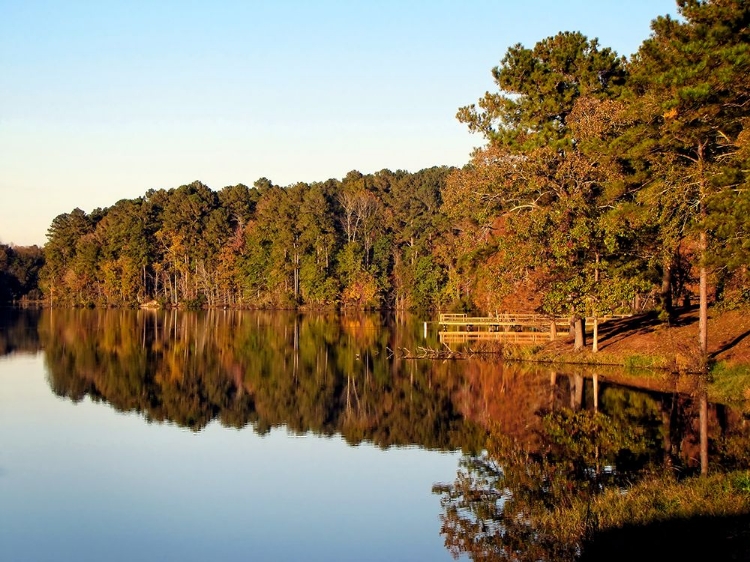 Picture of TREES AND WATER 9