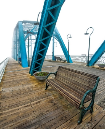 Picture of WALNUT BENCH IN FOG