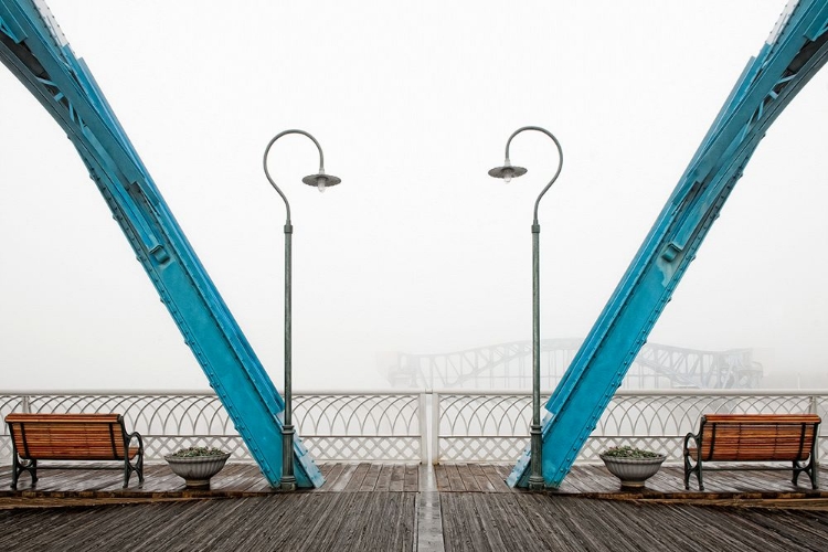 Picture of WALNUT POSTS IN FOG