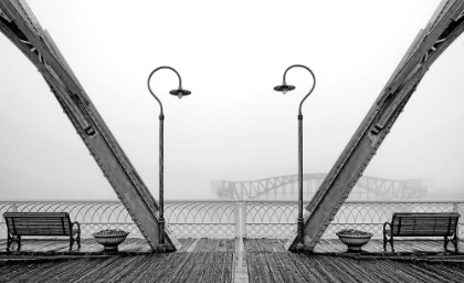 Picture of WALNUT POSTS IN FOG BW