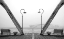 Picture of WALNUT POSTS IN FOG BW