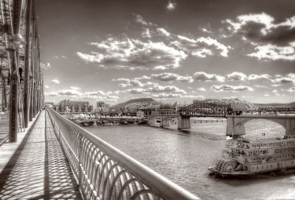 Picture of WALNUT TO LOOKOUT SEPIA