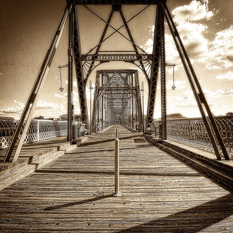 Picture of WALNUT WALK SEPIA