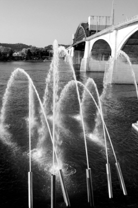 Picture of WATER CANNONS BW