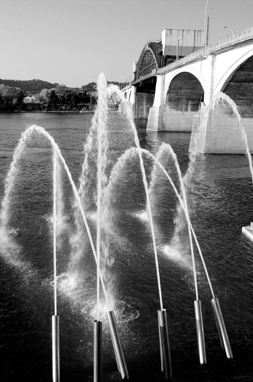 Picture of WATER CANNONS BW