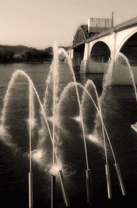 Picture of WATER CANNONS SEPIA