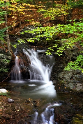 Picture of WATERFALL 14