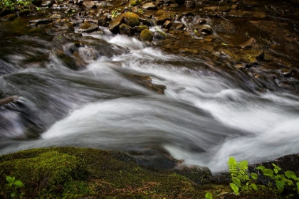 Picture of WATERFALL 2