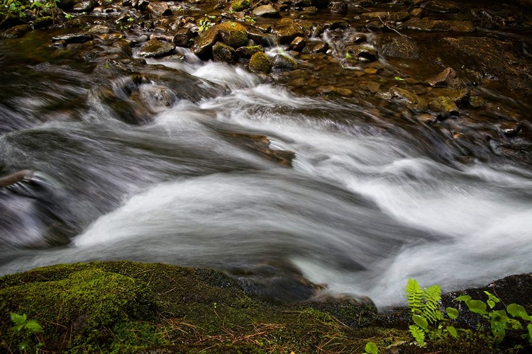 Picture of WATERFALL 2