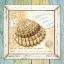 Picture of SEA TREASURES V