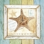 Picture of SEA TREASURES XII