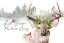 Picture of HOLIDAY DEER COLLECTION A