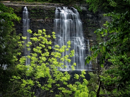 Picture of WATERFALL 34