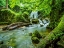 Picture of WATERFALL 58