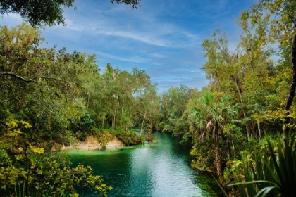 Picture of BLUE LAGOON