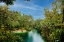 Picture of BLUE LAGOON
