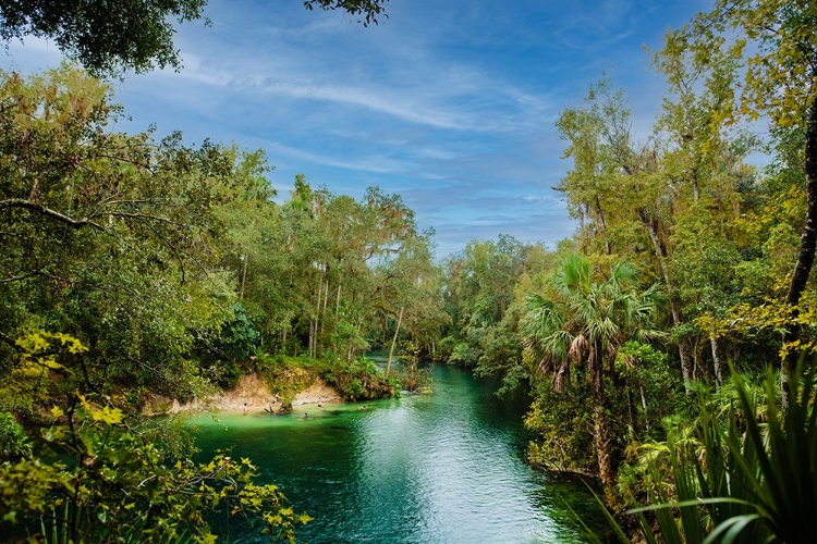 Picture of BLUE LAGOON