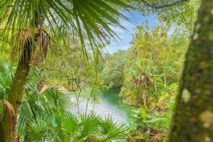 Picture of BLUE SPRINGS STATE PARK 2