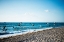 Picture of SEAGULLS