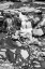 Picture of FALLS PARK 2 BW
