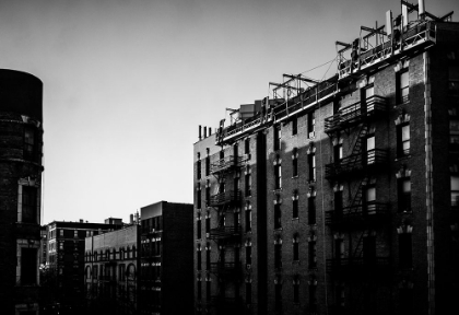 Picture of HARLEM MORNING 