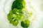 Picture of BROCCOLI DANCE