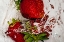 Picture of STRAWBERRY DANCE