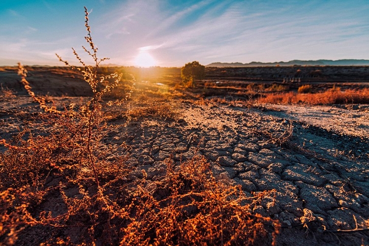 Picture of DESERT SUNSET 3