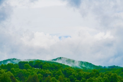 Picture of MOUNTAIN TOP GREEN