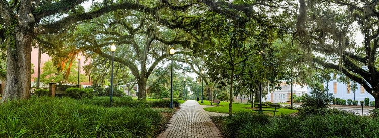 Picture of CHAIN OF PARKS RAIN 2