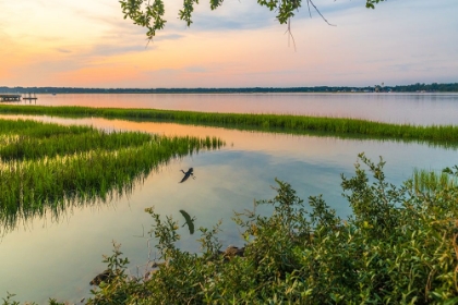 Picture of MORNING MARSH