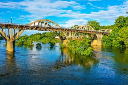 Picture of BLOOMING ON THE COOSA 4