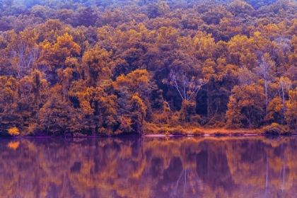 Picture of ACROSS THE RIVER INFRARED