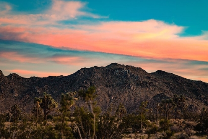 Picture of COTTON CANDY MOUNTAIN