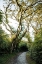 Picture of PATHWAY