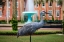Picture of DELAND BIRD