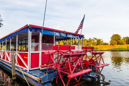 Picture of CANE RIVER QUEEN 2