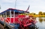 Picture of CANE RIVER QUEEN 2