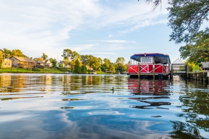 Picture of CANE RIVER QUEEN 3