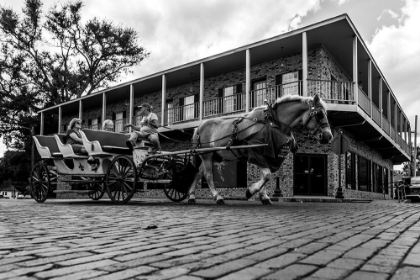 Picture of HORSE TOUR