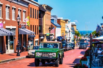 Picture of ANNAPOLIS BRONCO