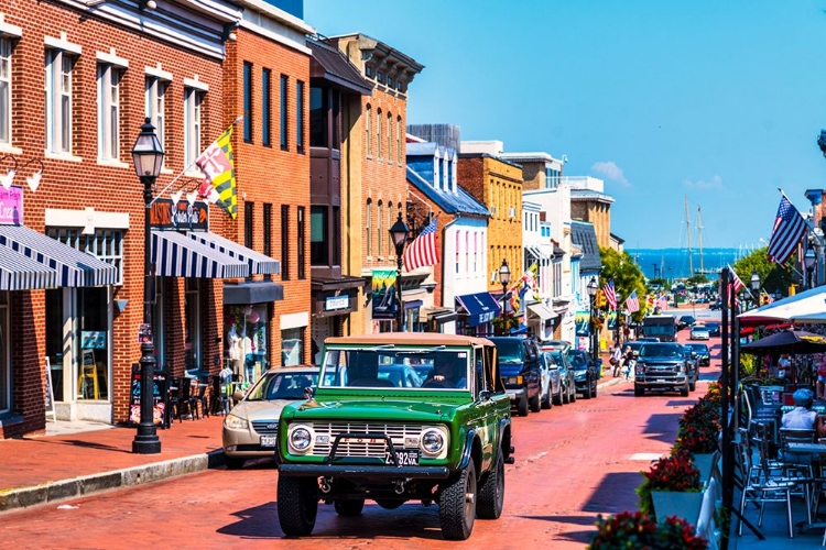 Picture of ANNAPOLIS BRONCO