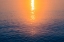 Picture of MORNING SUN