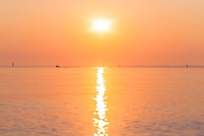 Picture of MORNING SUN 2