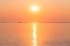 Picture of MORNING SUN 2