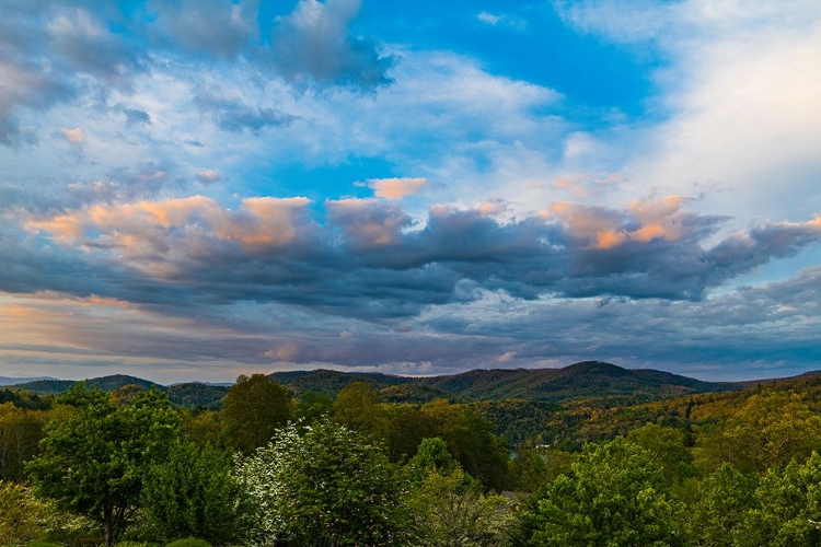 Picture of CASHIERS CLOUDS