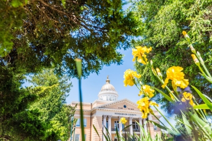 Picture of HENDERSON COUNTY COURTHOUSE