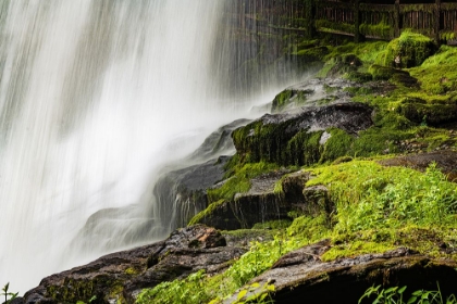 Picture of DRY FALLS 